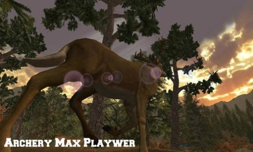 Archery Max Player截图2