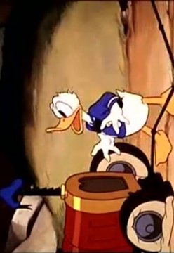 Donald Duck Cartoon Vdo截图