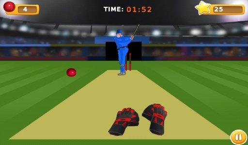 TapCatch Cricket game截图9