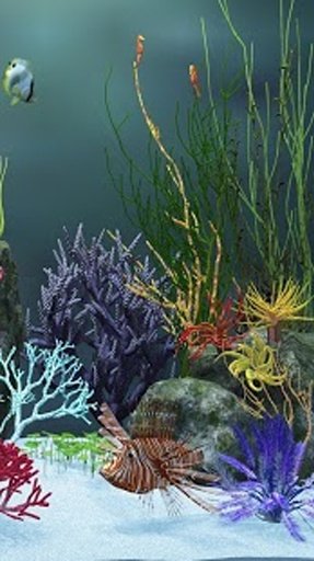 Aquarium HD Live Wallpapers截图3
