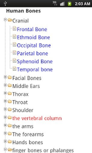 Human Bones learn free截图6