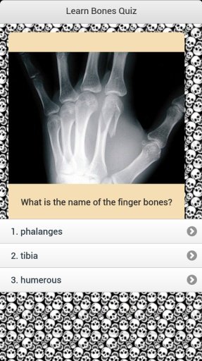 Learn Bones Quiz截图4