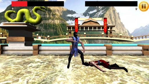 Kung Fu Fighting 3D截图4