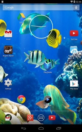 Koi Fish LWP截图4