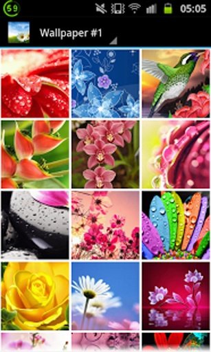 Flower Wallpapers Free截图10