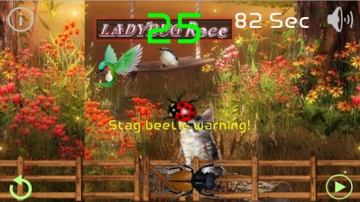 Ladybug Race - Ladybug Go! Go!截图3