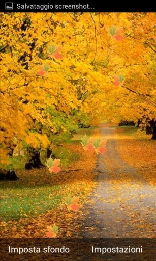 Autumn Road Live Wallpaper LWP截图1