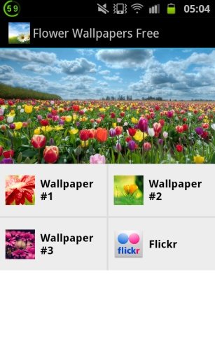 Flower Wallpapers Free截图9