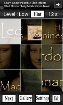 Puzzle Leonardo Da Vinci截图