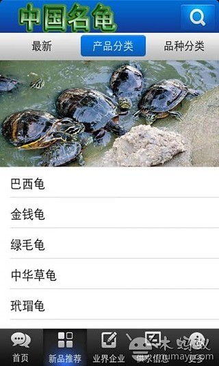 中国名龟截图5