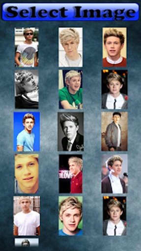 Niall Horan Puzzle Game截图8