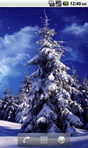 Winter Wonderland Wallpapers截图3