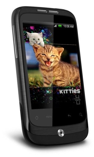 Pet Baby Cat HD截图4