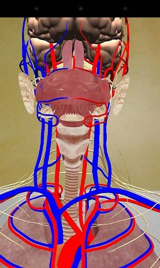 人体解剖智能版截图1