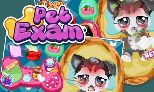 Pet Care Doctor Exam截图3