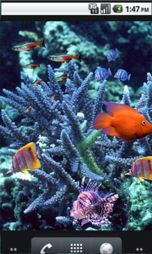 Underwater Fish photo Best LWP截图2