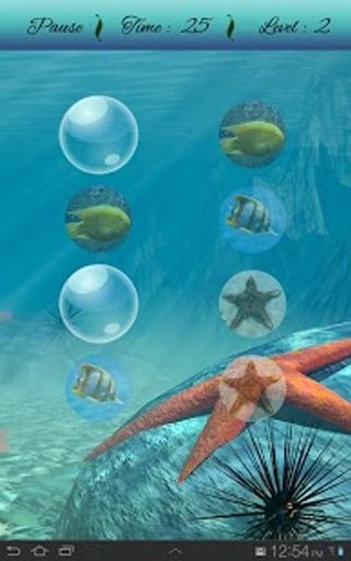 Fish Memory Puzzle Game截图8