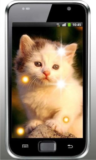 Plush Kitty HD Live Wallpaper截图3