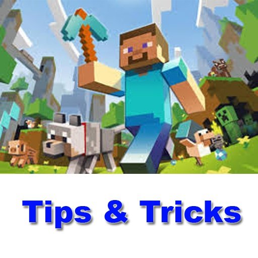 The Best Tips For Minecraft截图1