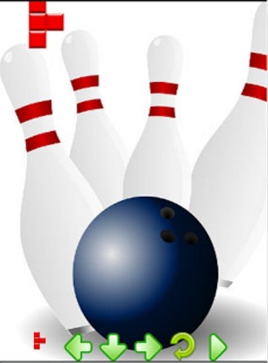 3D Real Bowling截图1