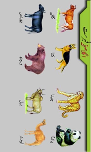 Kids Urdu Qaida截图3