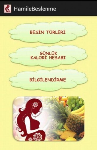 Sağlıklı Hamilelik截图2