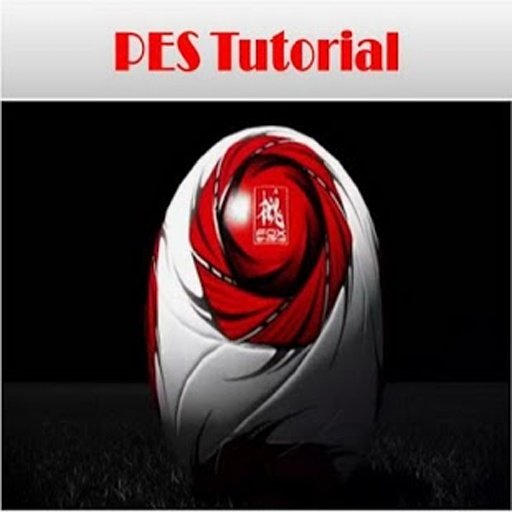 PES Tutorial截图3