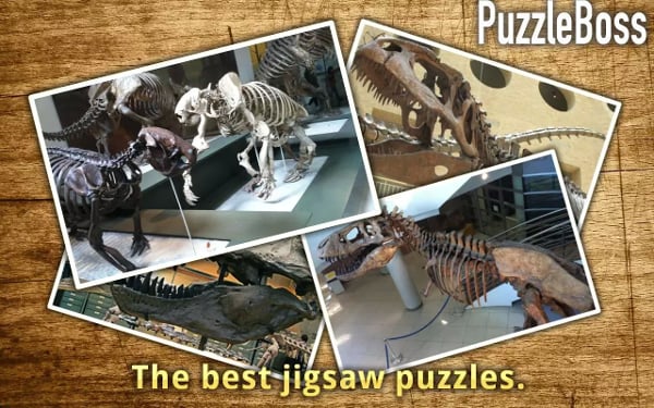 PuzzleBoss: Dinosaur Fossils截图2