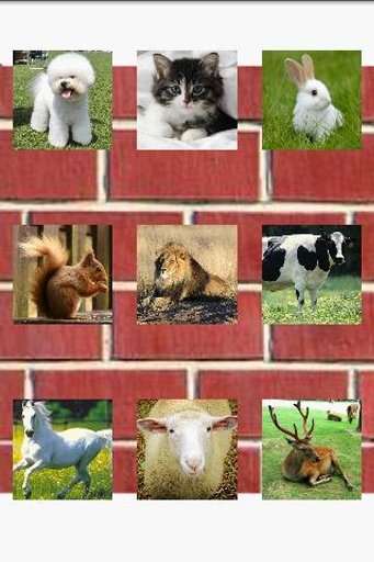 Aprende inglés con animales截图3