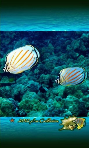 Photo Fishing Coral Reef LWP截图3