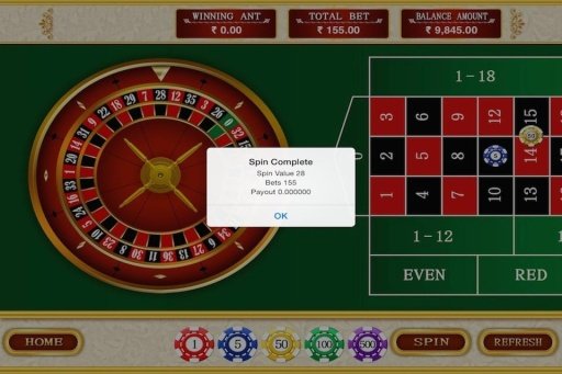 Wheel Of Coin Roulette Fortune截图3