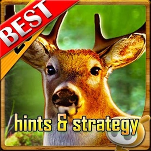 Deer Hunter 2014 Hints截图1