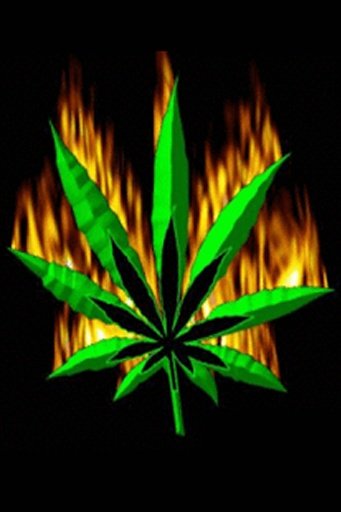 Weed Flaming Live Wallpaper截图1