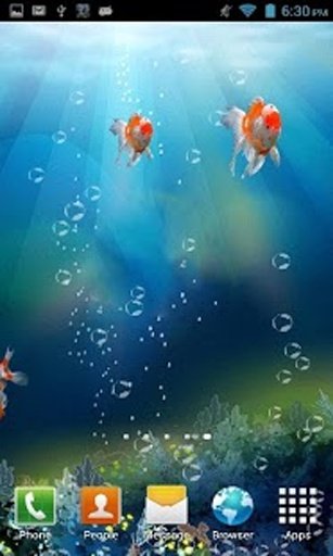 Goldfish Swim 3D Aquarium LWP截图11