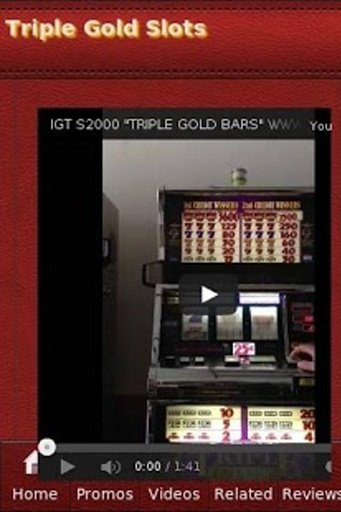 Triple Gold Slots截图7