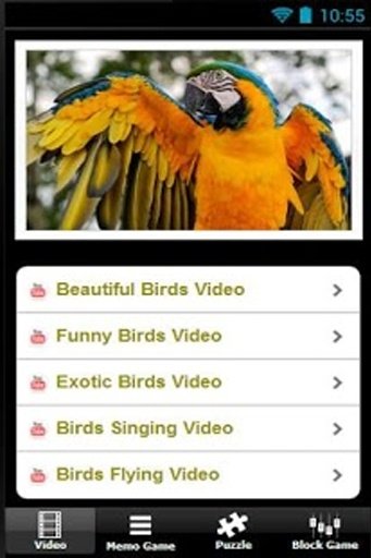 Beautiful Birds截图1