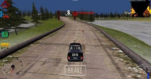 Car Racer Free 3D截图2