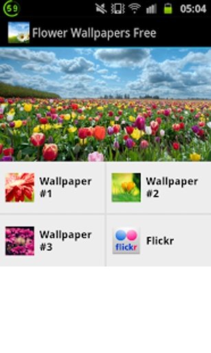 Flower Wallpapers Free截图3