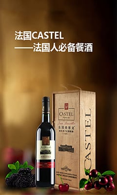 法国CASTEL葡萄酒官网截图4