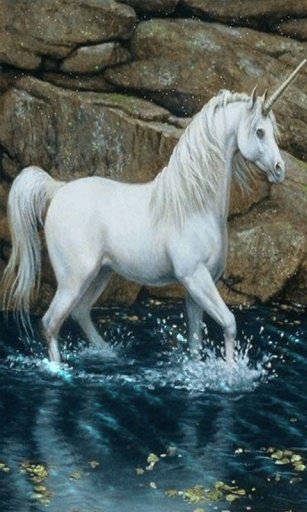 Beautiful Unicorn Live Wallpap截图1