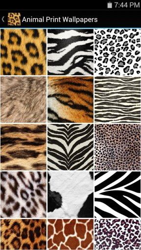 Animal Print Wallpapers截图1