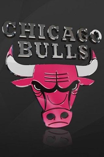 Chicago Bulls Live Wallpaper截图2