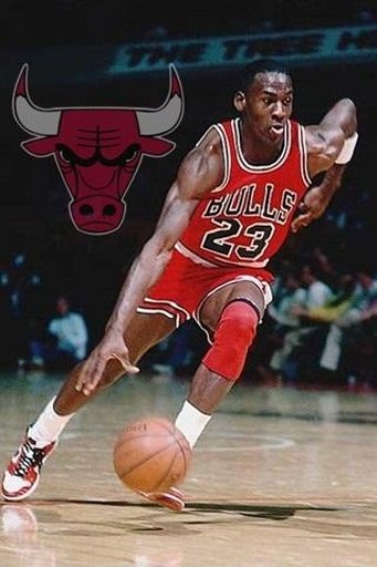 Chicago Bulls Live Wallpaper截图5