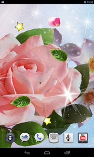 Spring Rose live wallpaper截图2