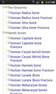 Human Bones learn free截图