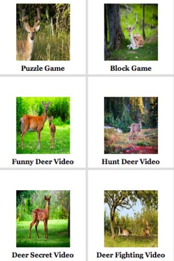 Deer Puzzle截图2