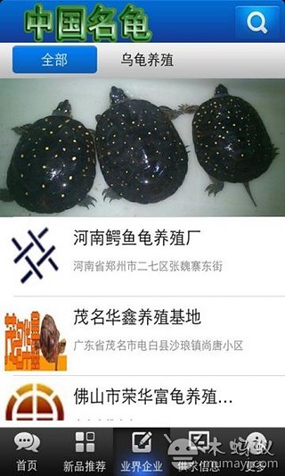 中国名龟截图4