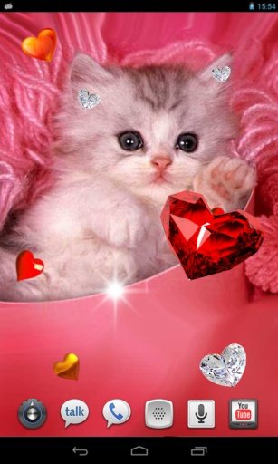 Valentine Kitties 2014 HQ LWP截图1