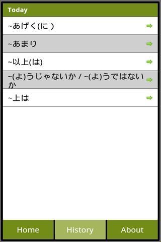 Japanese Grammar N1 Lite截图2