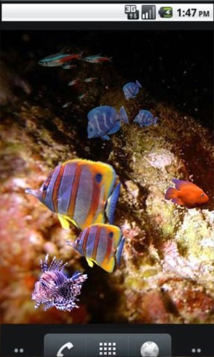 Underwater Fish photo Best LWP截图4